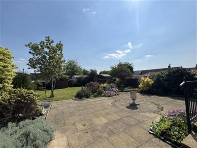 Picture 20